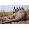 Image 10 : Chirsa, Zimbabwe 2 Buffalo 1 tuskless Elephant 14 Days 2 Hunters 2026