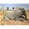 Image 5 : Chirsa, Zimbabwe 2 Buffalo 1 tuskless Elephant 14 Days 2 Hunters 2026
