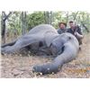 Image 9 : Chirsa, Zimbabwe 2 Buffalo 1 tuskless Elephant 14 Days 2 Hunters 2026