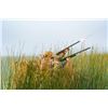 Image 2 : Argentina Duck hunt for 2 hunters
