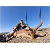 Image 4 : Ringed Horned Slam -South Africa 1 Hunter 10 days 8 animals
