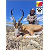 Image 5 : Ringed Horned Slam -South Africa 1 Hunter 10 days 8 animals