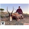 Image 7 : Ringed Horned Slam -South Africa 1 Hunter 10 days 8 animals