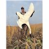 Image 3 : North Dakota Waterfowl Hunt 2 hunters