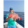 Image 5 : North Carolina Deep Sea Fishing 6 people
