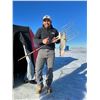 Image 4 : Ice Fishing