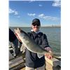 Image 4 : Trophy Walleye Fishing