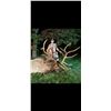 Image 3 : Trophy Bull Elk 350-inch Michigan Bull Elk