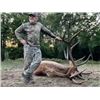 Image 6 : Trophy Bull Elk 350-inch Michigan Bull Elk