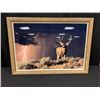 Image 1 : Framed Mule Deer Photograph
