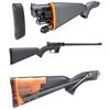 Image 1 : Henry .22LR Survival