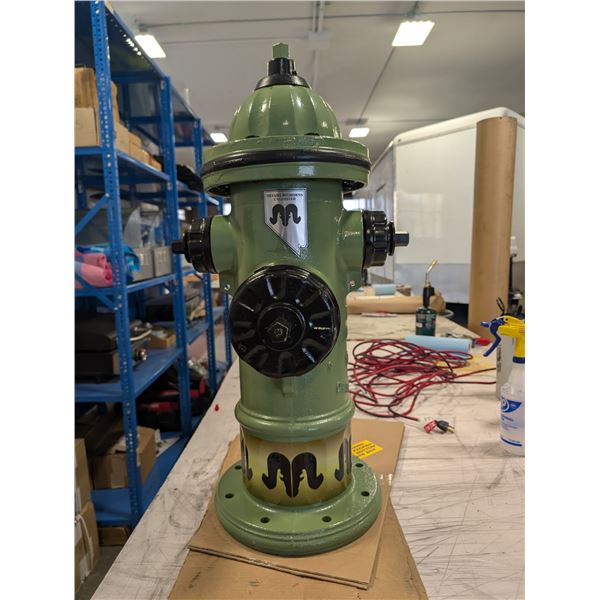 Decorated NBU Fire Hydrant