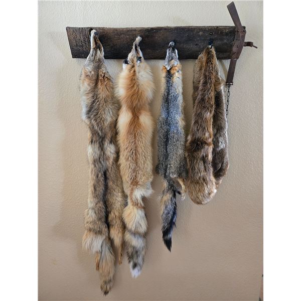 Wild Fur Collection
