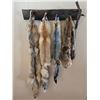 Image 1 : Wild Fur Collection