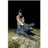 Image 2 : Gator or Hog Hunt for 1 hunter