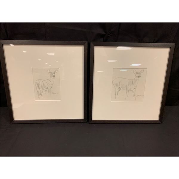 Deer Pencil Sketches