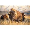 Image 1 : EUREKA NEVADA BISON HUNT  ONE SHOOTER, UNLIMITED NON-HUNTERS INCLUDED
