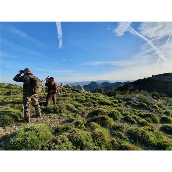 Spanish Ibex & Red Stag Mountain Hunt – Andalusia, Spain