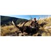 Image 5 : Spanish Ibex & Red Stag Mountain Hunt – Andalusia, Spain