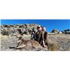 Image 6 : Spanish Ibex & Red Stag Mountain Hunt – Andalusia, Spain
