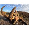 Image 9 : Spanish Ibex & Red Stag Mountain Hunt – Andalusia, Spain