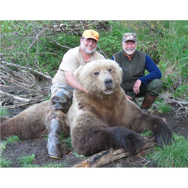 11-Day Alaska Peninsula Brown Bear, Black Bear, Wolverine and Wolf Combo Hunt for One Hunter