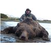 Image 5 : 11-Day Alaska Peninsula Brown Bear, Black Bear, Wolverine and Wolf Combo Hunt for One Hunter