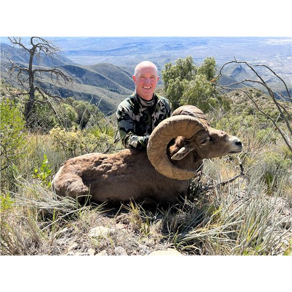 MEXICO DESERT SHEEP HUNT WITH LA PALMOSA, ONE NON-HUNTER INCLUDED