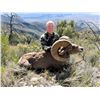 Image 1 : MEXICO DESERT SHEEP HUNT WITH LA PALMOSA, ONE NON-HUNTER INCLUDED