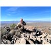 Image 4 : MEXICO DESERT SHEEP HUNT WITH LA PALMOSA, ONE NON-HUNTER INCLUDED