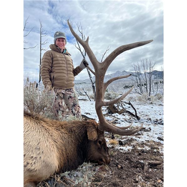 Nevada Unit 231 Landowner Bull Elk Tag