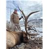 Image 1 : Nevada Unit 231 Landowner Bull Elk Tag