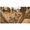 Image 1 : REMI WARREN’S ULTIMATE BOWHUNTING GEAR PACKAGE & 3D BOW SHOOT EXPERIENCE