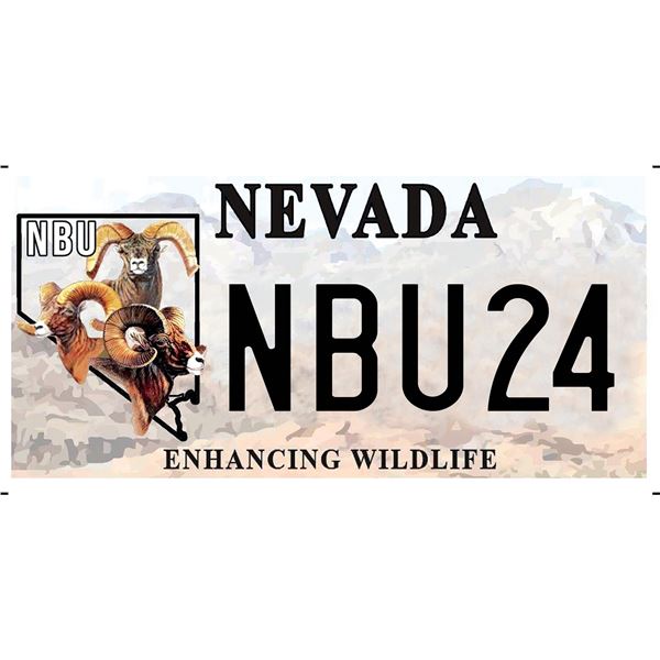 NBU LICENSE PLATE