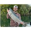Image 1 : SALMON FISHING TRIP FOR 4 ON THE SACRAMENTO RIVER