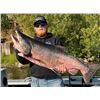 Image 2 : SALMON FISHING TRIP FOR 4 ON THE SACRAMENTO RIVER