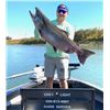 Image 4 : SALMON FISHING TRIP FOR 4 ON THE SACRAMENTO RIVER