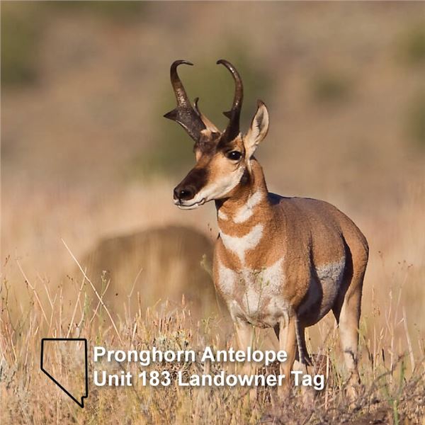 NEVADA UNIT 183 LANDOWNER TAG ANTELOPE TAG