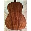 Image 3 : CUSTOM NBU GUITAR BY GARY BRANZELL
