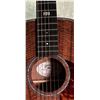 Image 7 : CUSTOM NBU GUITAR BY GARY BRANZELL