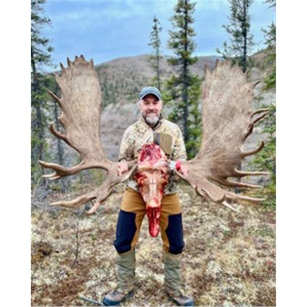 Yukon Moose Hunt with Blackstone Outfitters