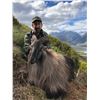 Image 1 : 5-DAY NEW ZEALAND TAHR HUNT