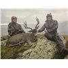 Image 2 : 5-Day, Oregon Blacktail Deer Hunt for Two Hunters with Spoon Creek Outfitters