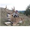 Image 4 : 5-Day, Oregon Blacktail Deer Hunt for Two Hunters with Spoon Creek Outfitters