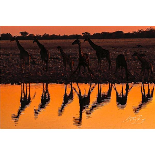 KRUGER NATIONAL PARK PHOTOGRAPHIC SAFARI FOR TWO