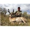 Image 1 : NEVADA’S PRONGHORN ANTELOPE  HERITAGE TAG AUCTION