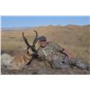 Image 3 : NEVADA’S PRONGHORN ANTELOPE  HERITAGE TAG AUCTION