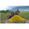 Image 2 : Argentina Dove Hunt – Córdoba, Argentina