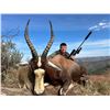 Image 1 : 10-Day Elite South Africa Safari Hunt for 2