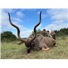 Image 4 : 10-Day Elite South Africa Safari Hunt for 2